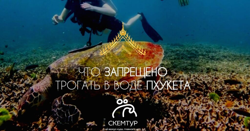 Что нельзя трогать в море Пхукета: охраняемые виды и штрафы 2026