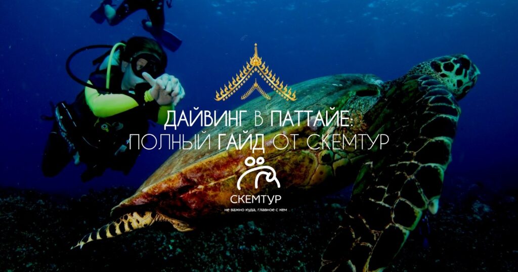 dayving-v-pattaye-dlya-novichkov-2026