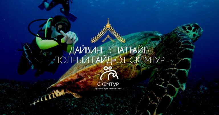dayving-v-pattaye-dlya-novichkov-2026