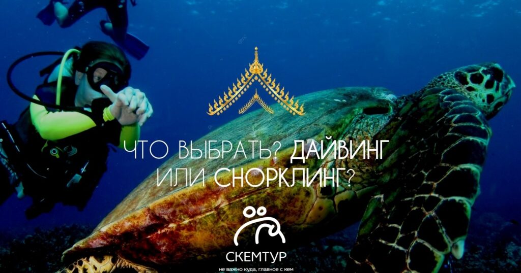 Снорклинг и дайвинг на Пхукете 2026: лучшие места, цены, советы