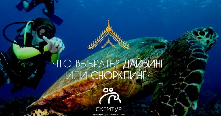 Снорклинг и дайвинг на Пхукете 2026: лучшие места, цены, советы