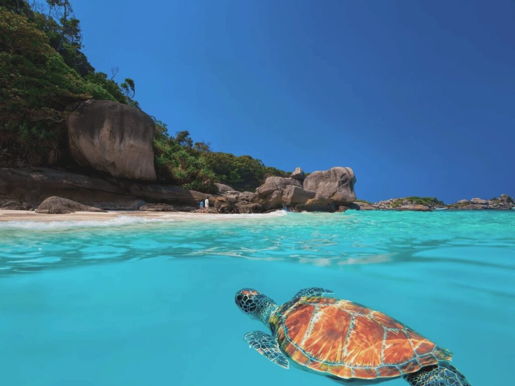 Экскурсия на Пхукете — фото 3