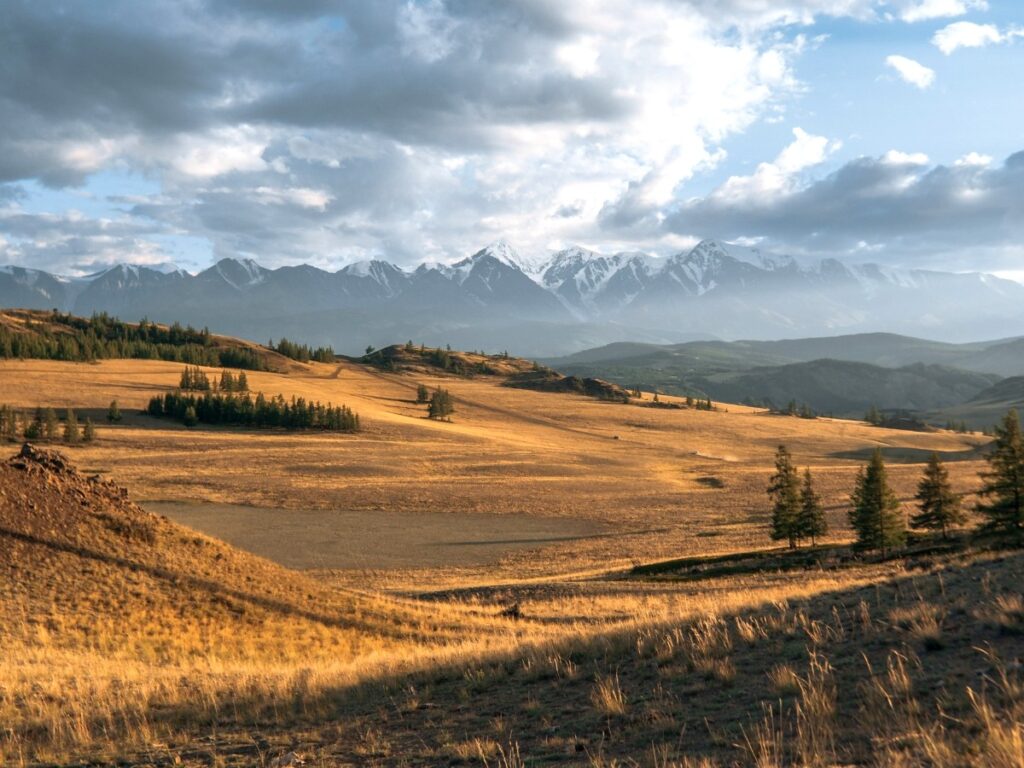 авторские туры на алтай