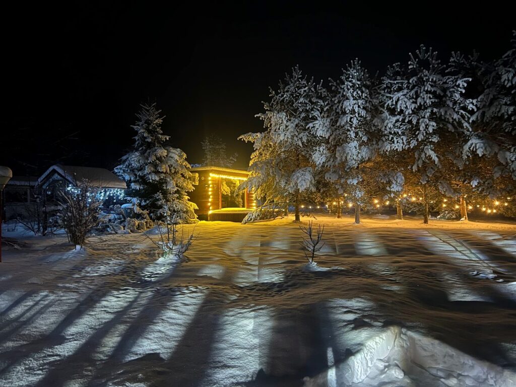 Новогодний Алтай, 7 дней — тур на Алтай