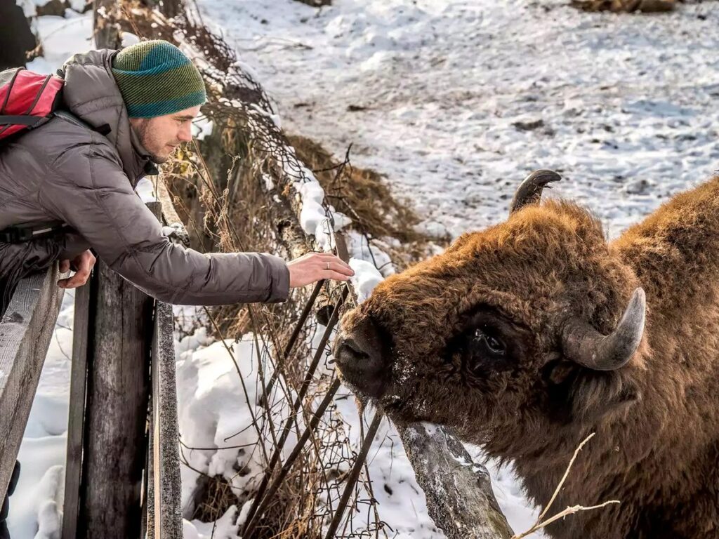 Зимний тур по Алтаю: Чуйский тракт, Голубые озёра и Курайская степь