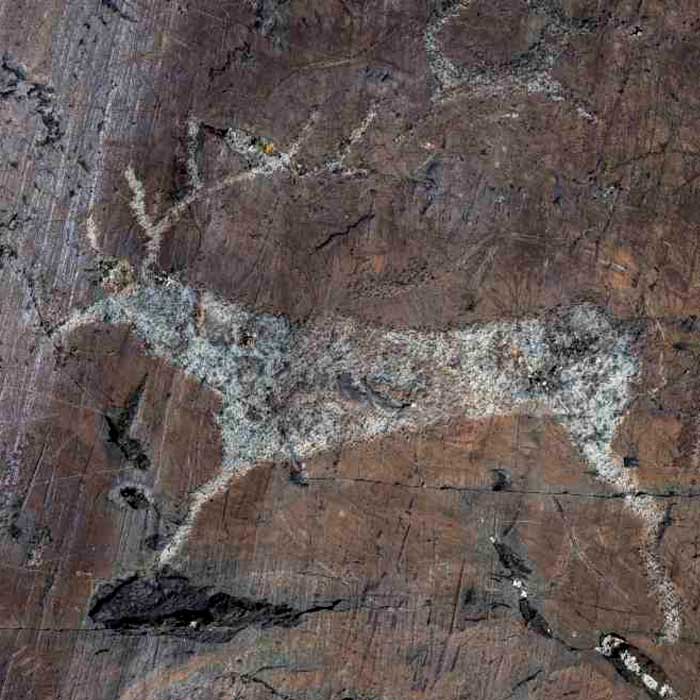 Весь Алтай за 7 дней — горы и реки
